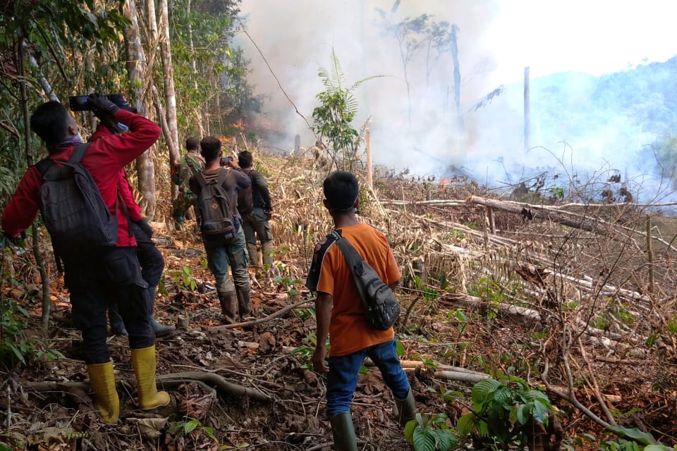 Satgas Karhutla Riau Padamkan Kebakaran di Taman Nasional Bukit Tigapuluh
