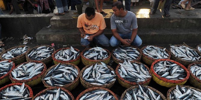 Potensi Ikan Indonesia Mencapai 15 Juta Ton