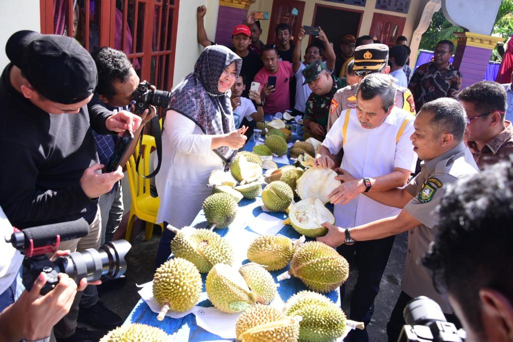 Gubri Syamsuar Hadiri Gebyar Makan Durian Bantan