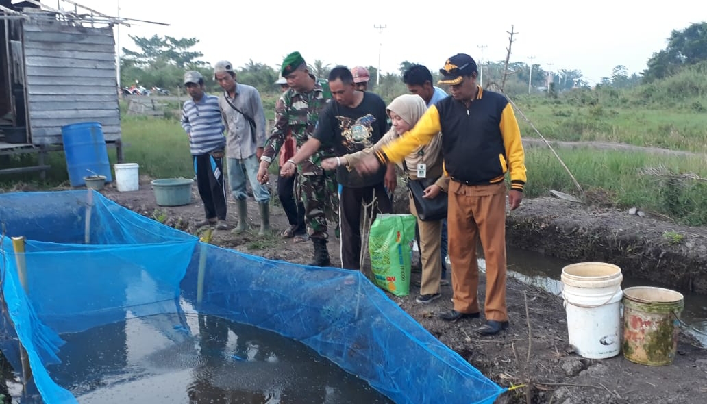 Dinas Ketahanan Pangan Riau Serahkan Bibit Ikan Lele