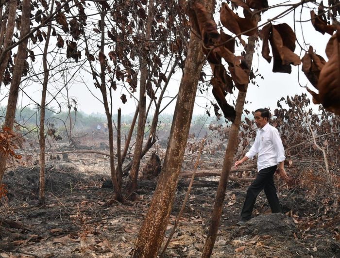 Jokowi Tegaskan Pentingnya Upaya Pencegahan Karhutla