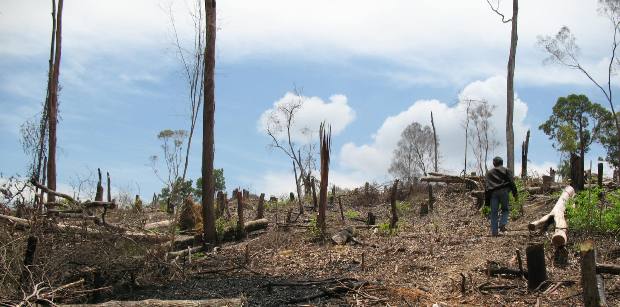 Kapolda Riau Ancam Babat Habis Cukong Perambah Hutan Lindung