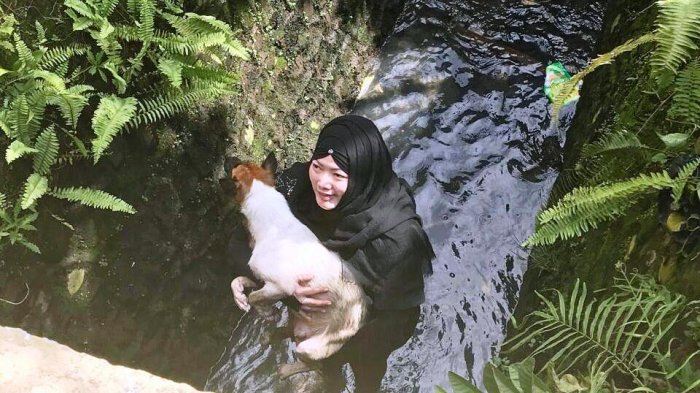 VIRAL! Perempuan Berhijab Selamatkan Anjing yang Hampir Mati Tenggelam