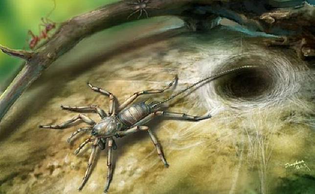 Ilmuwan Temukan Fosil Laba-laba Berekor di Myanmar