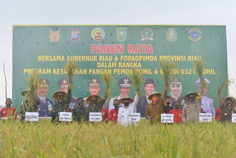 Produksi Beras di Riau Baru Mencapai 139.130 ton
