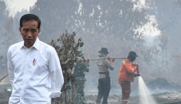 Jokowi Heran Luas Hutan Terbakar Tiap Tahun Bertambah