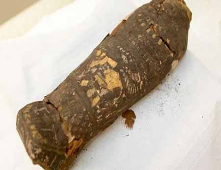 Dikira Mumi Burung, Artefak Mesir Berusia 2.300 Tahun Ini Ternyata...