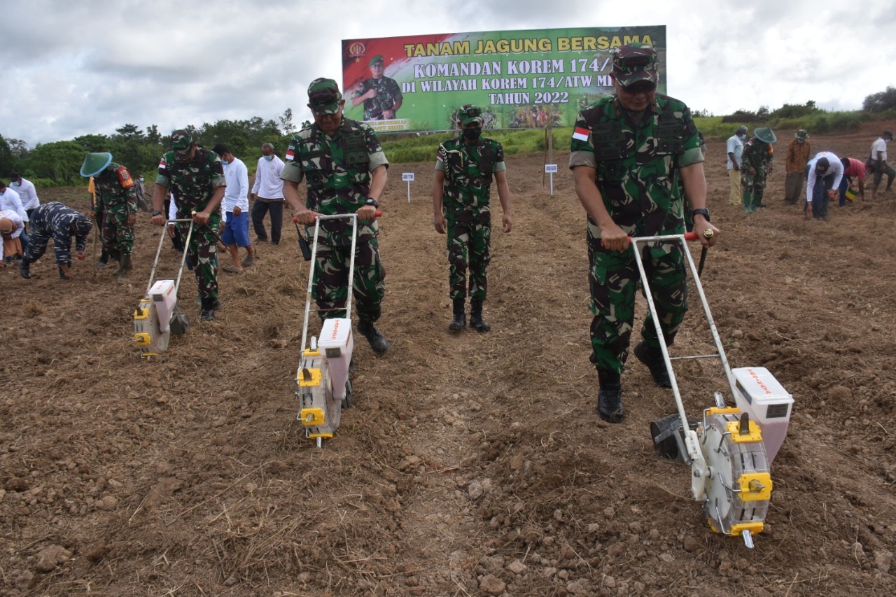 Tingkatkan Ketahanan Pangan Masyarakat, Danrem 174/ATW Merauke Tanam Jagung Bersama Gapoktan Merauke