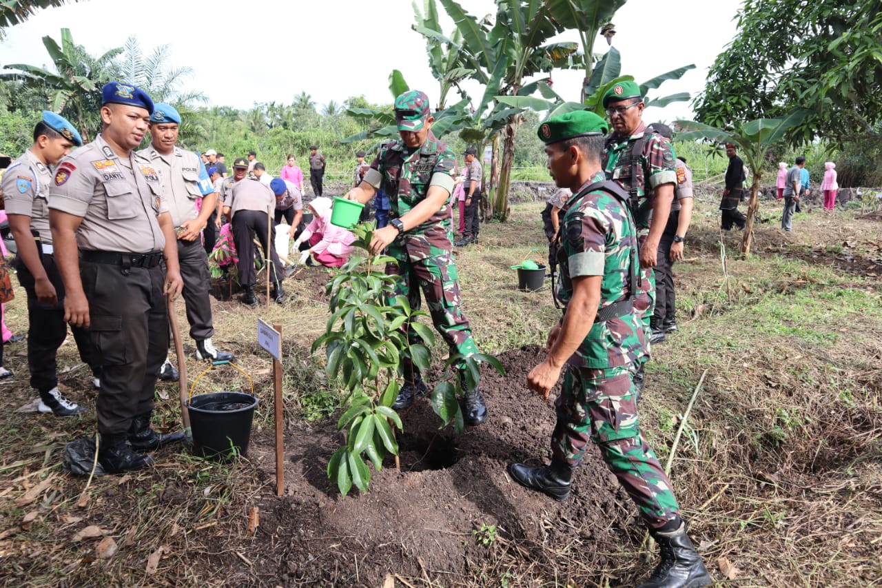 Penanaman 3000 Pohon di Inhil