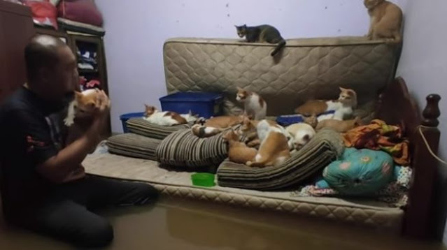 Demi Selamatkan Puluhan Kucing, Kakak Beradik Terjang Banjir