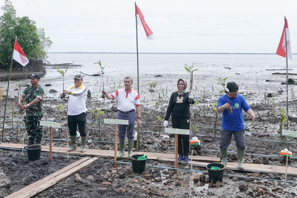 Gubernur Riau Lakukan Pencanangan 200.000 Bibit Mangrove di Bengkalis
