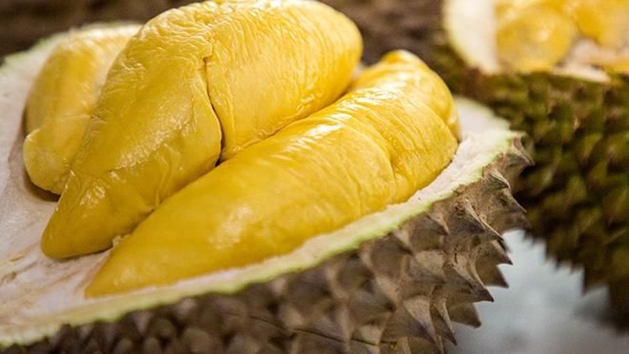 Ratusan Orang Dievakuasi Hanya karena Durian, Kok Bisa?