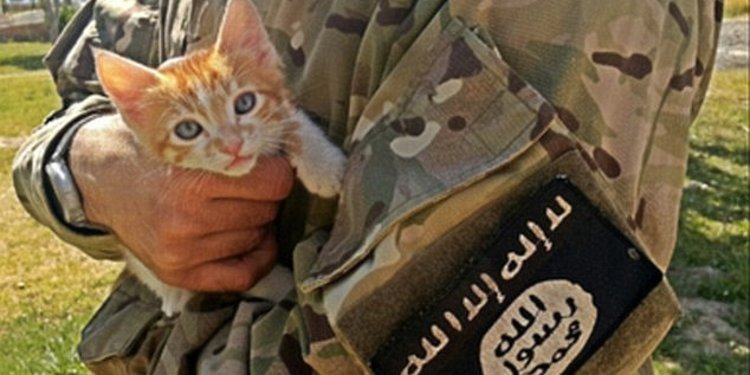 ISIS Haramkan Warganya Peliharaan Kucing