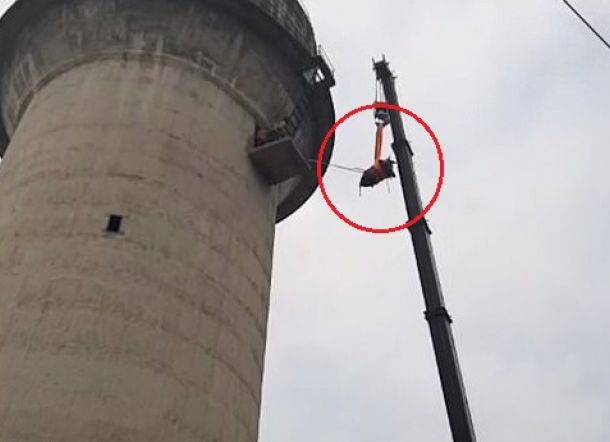 LAH KOK BISA... Sapi Memanjat Menara Setinggi 60 Meter, Penyelamatan Berjam-jam