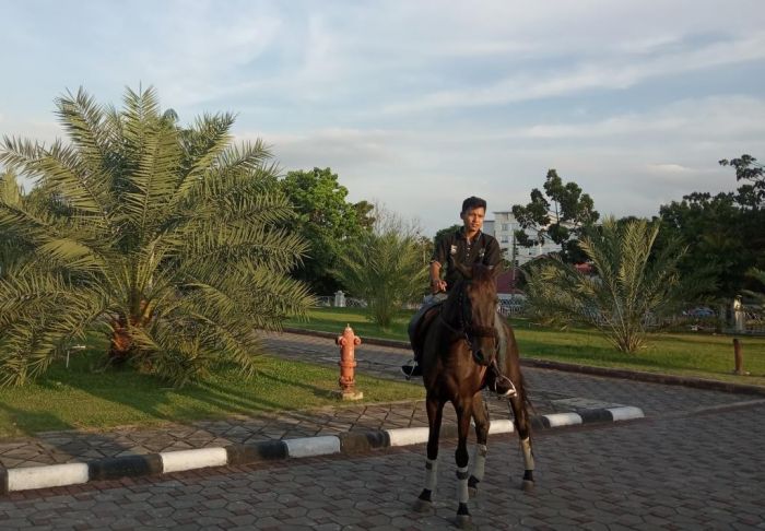 Wisata Berkuda Di Kawasan Masjid Raya An-Nur