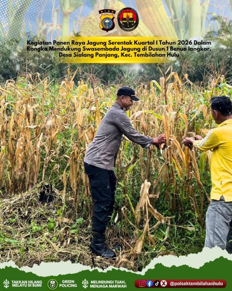 Polri dan TNI Kompak Dukung Panen Raya Jagung di Tembilahan Hulu