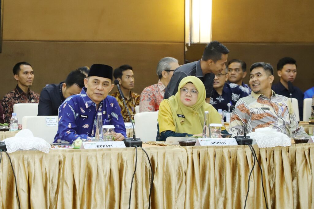 Bupati Inhil Menghadiri Pertemuan Komisi II DPR RI Dengan Pemprov dan Pemda Se Prov Riau